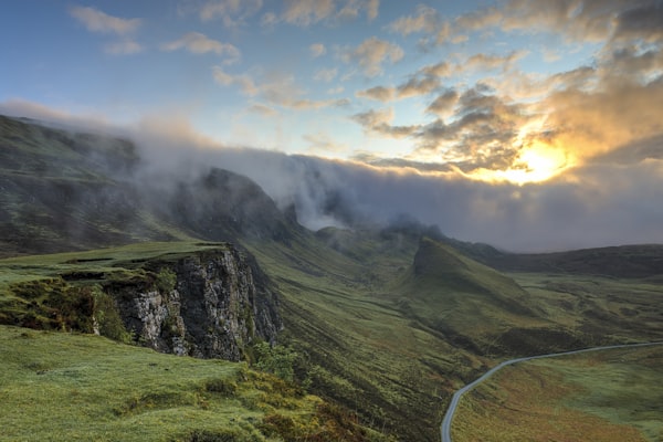 Pest Control web design and digital marketing