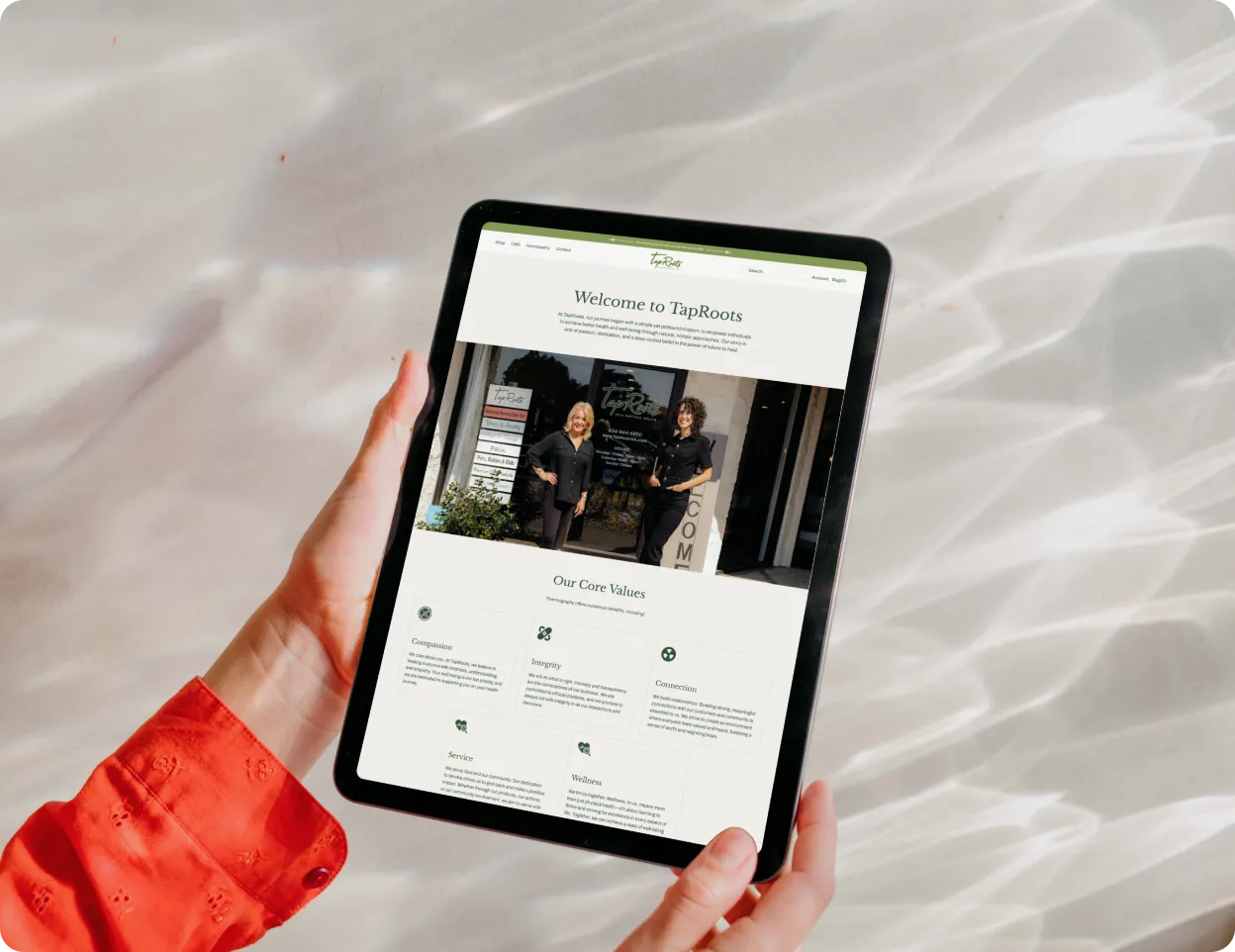 WordPress development power